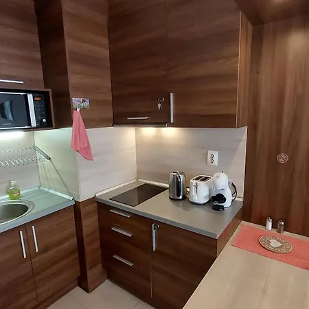 Belvedere Club - Mountain View Apartament