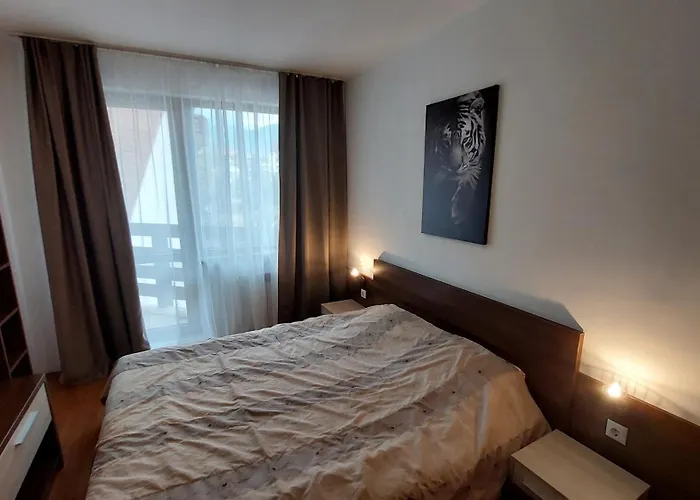 Belvedere Club - Mountain View